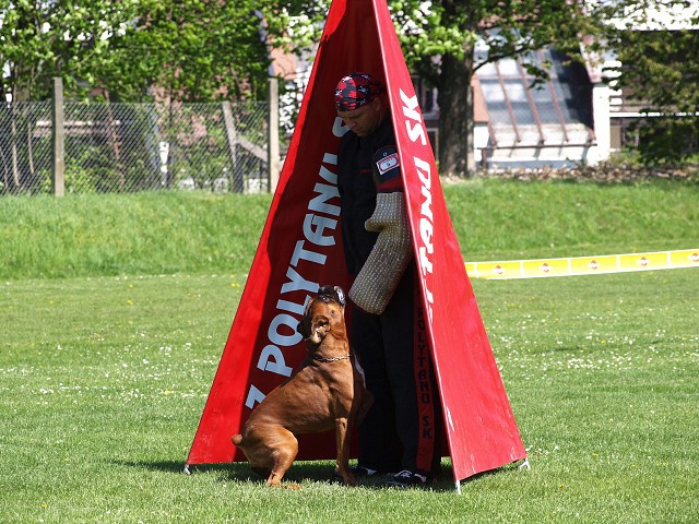 www.atibox.net * www.euroboxer.eu * www.boxergenealogia.eu